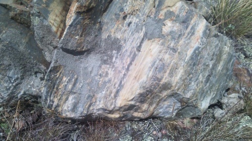 Гигантские зелёные валуны для ландшафтного дизайна весом более 5 тонн купить в Псковской области